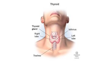 Endocrinologist doctor in Dombivli 